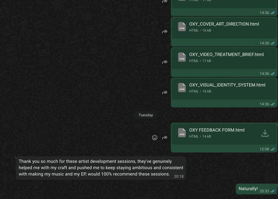 Messages showing the six delivered documents and Oxy's reply thanking Santiagos for the sessions.
